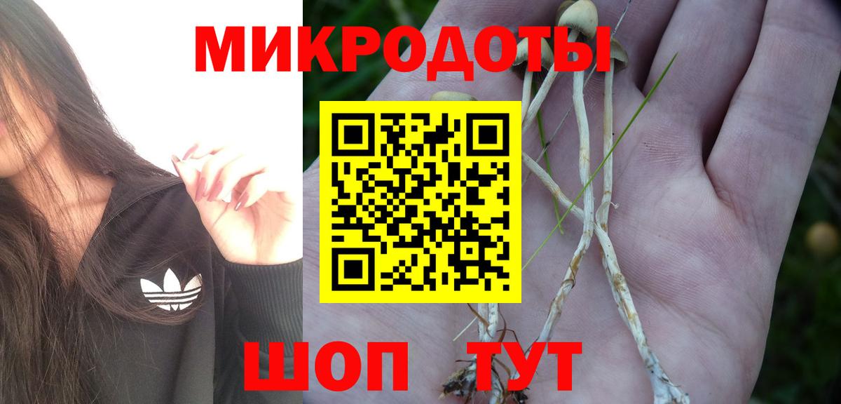 Галлюциногенные грибы Cubensis  Псилоцибиновые грибы GOLDEN TEACHER  Вход с VPN  Домодедово 
